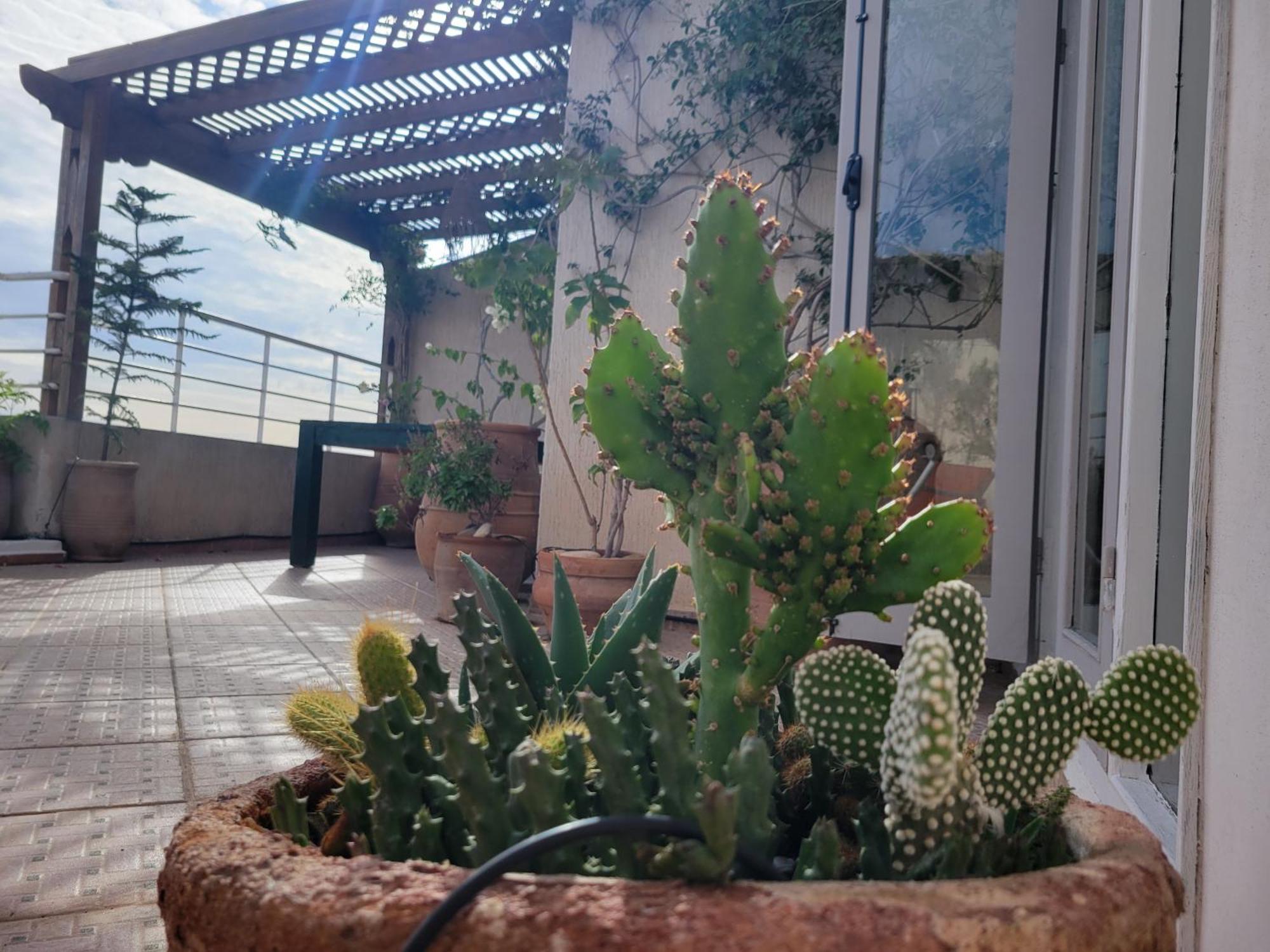 Las Terrazas Mogador Essaouira Buitenkant foto